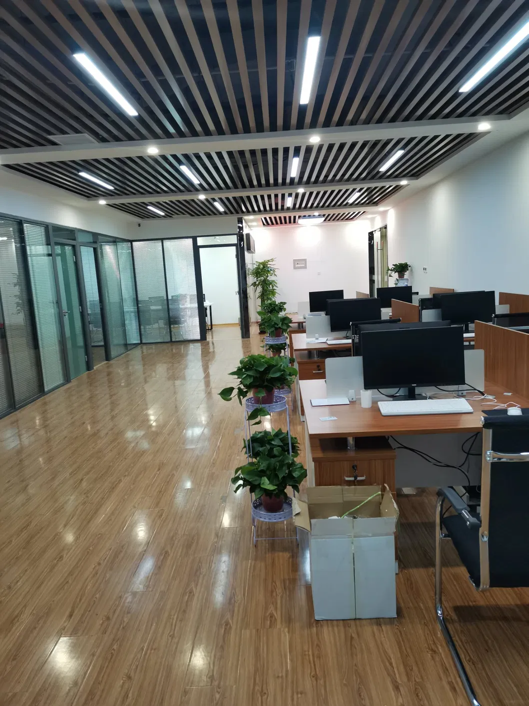 Kinh tế c&aacute;n n&oacute;ng / c&aacute;n lạnh 316 V&ograve;ng xoắn th&eacute;p kh&ocirc;ng gỉ C&aacute;c phương ph&aacute;p xử l&yacute; bề mặt kh&aacute;c nhau 0