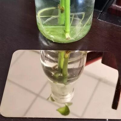 Lớp thép không gỉ 316 cán nóng để đâm tường với bề mặt BA 2B 8K HL